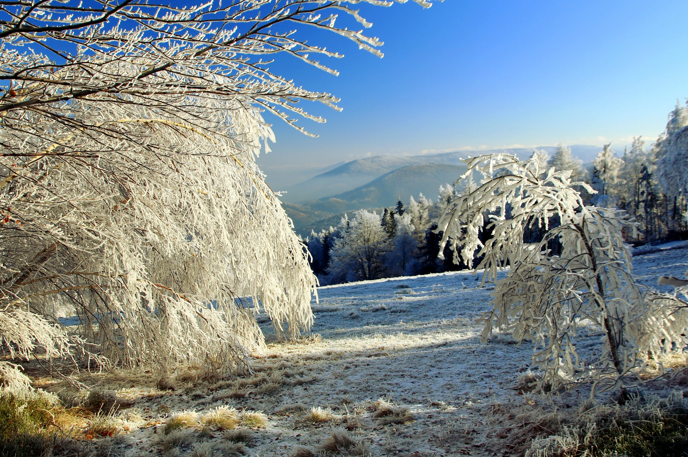 Zimowa końcówka -2.