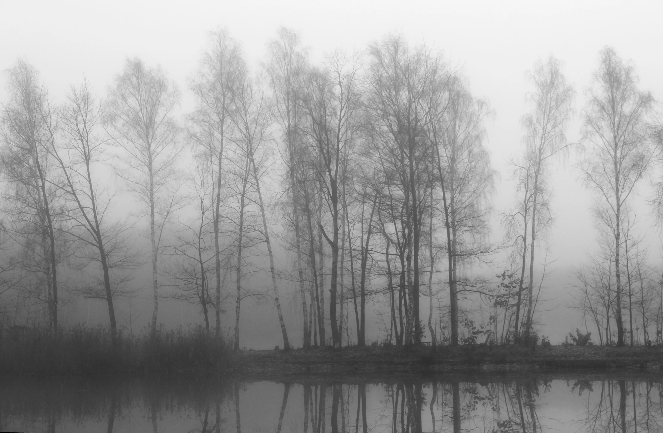 Krajobrazy jesienne - 5.