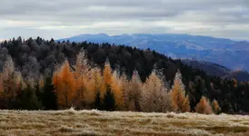 Krajobrazy jesienne -7.