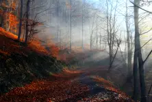 Krajobrazy jesienne -1.