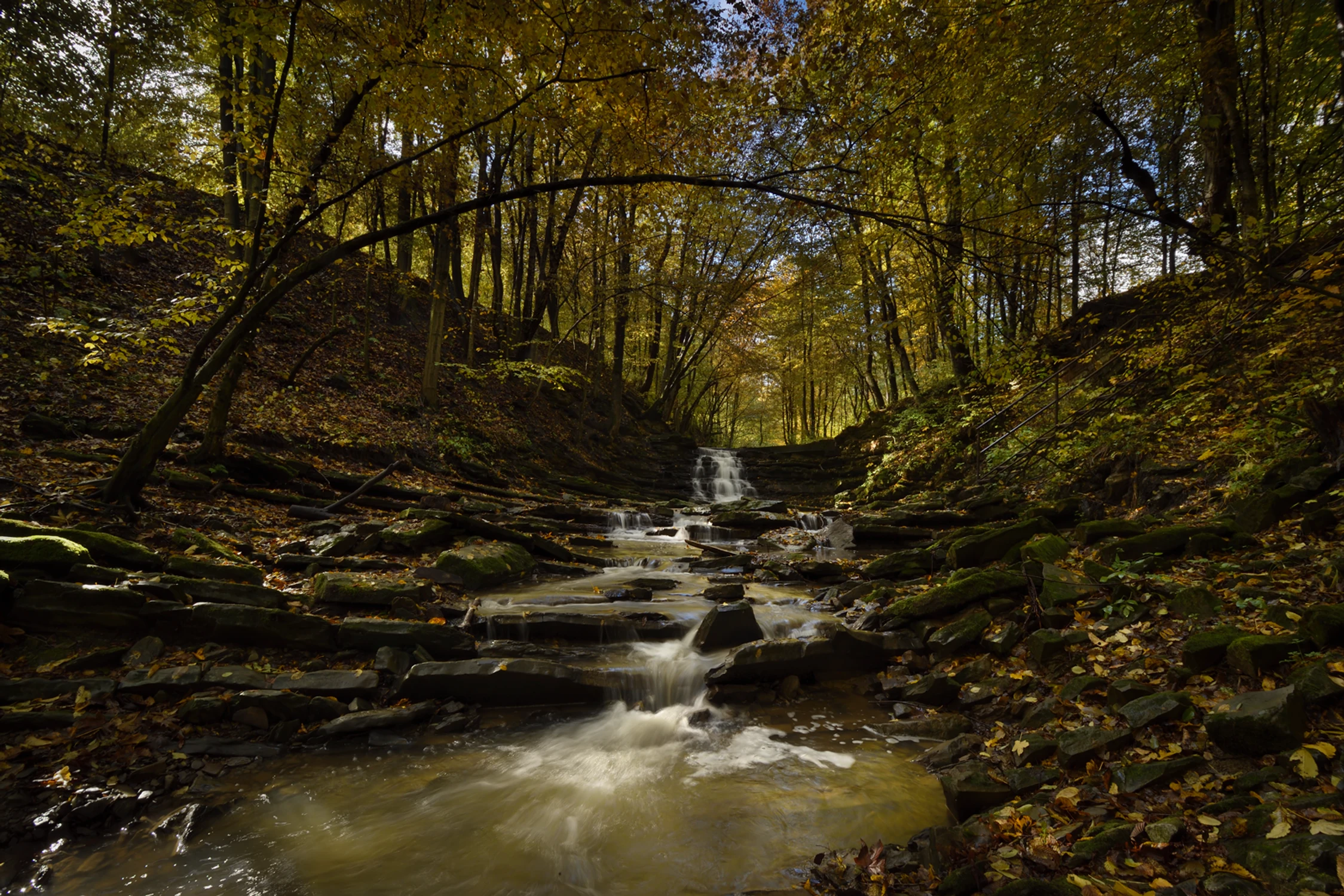 jesienny Wisłoczek...