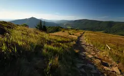 z bieszczadzkich wędrówek...