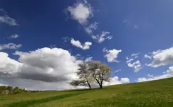 'chmurnych opowieści' cd...