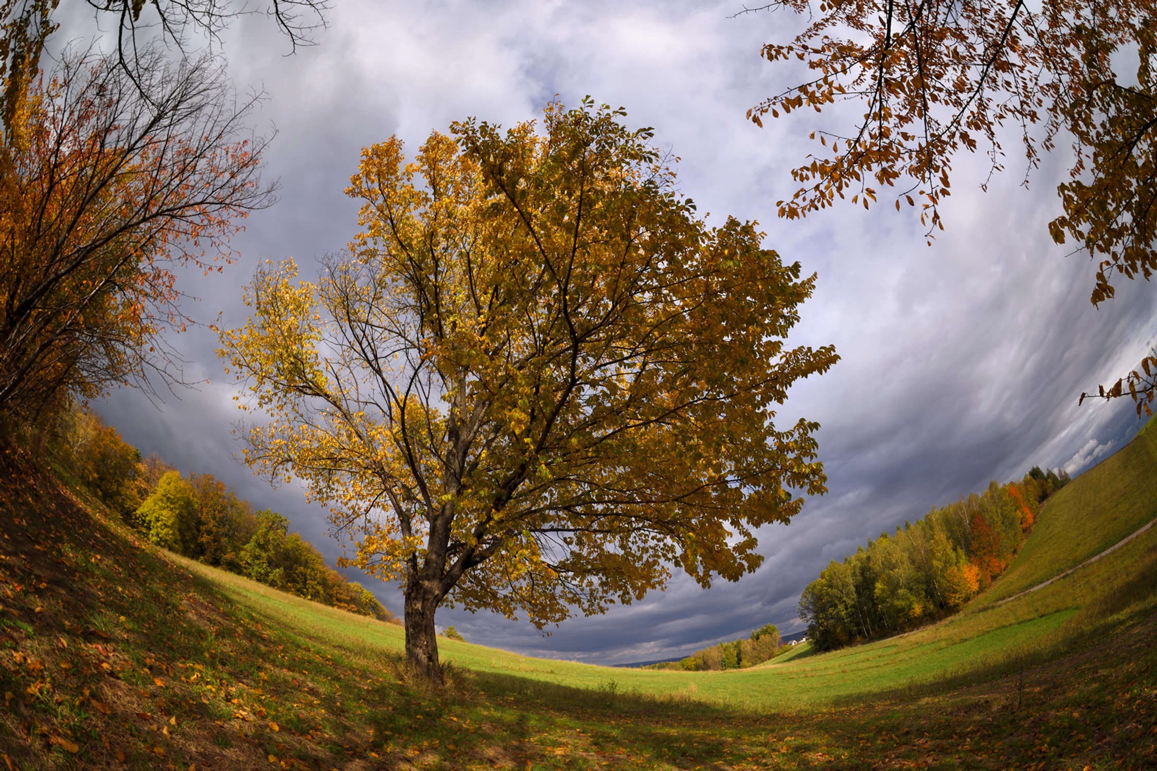 z jesiennych klimatów...