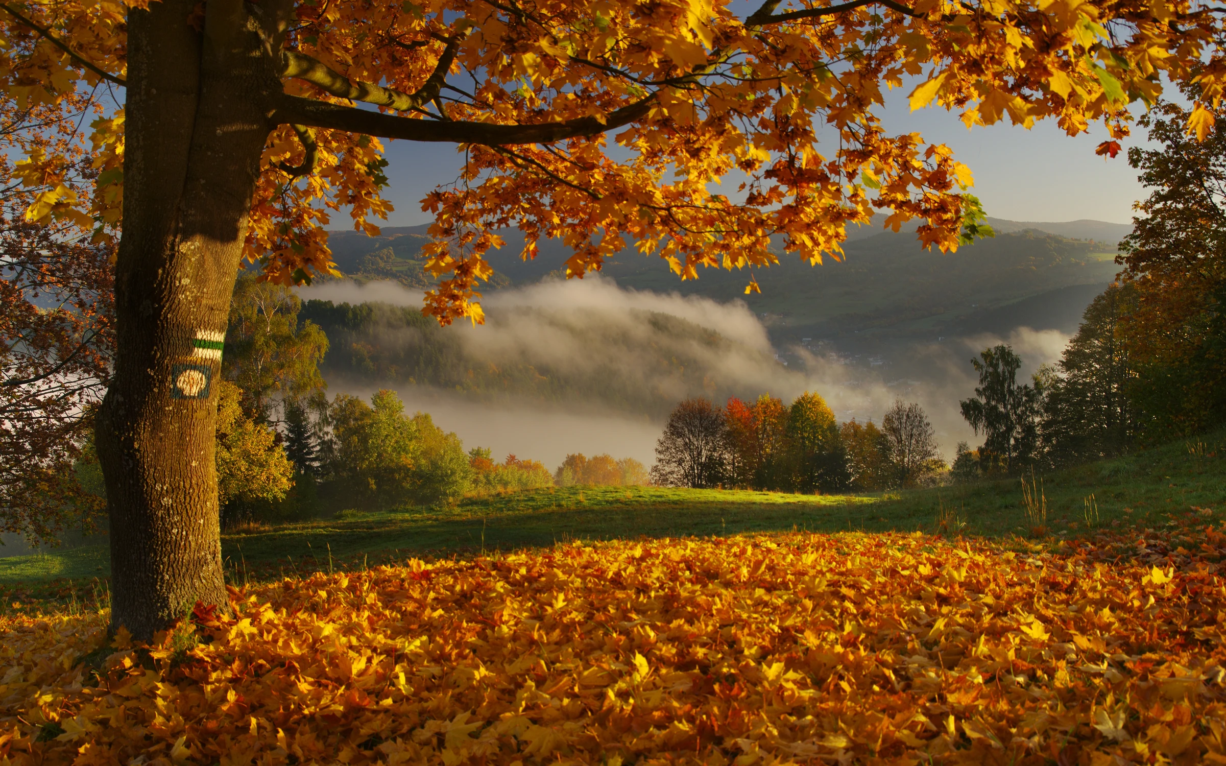 jesień na szlaku...