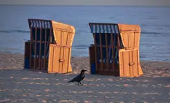 na plaży o świcie