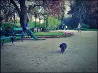 Łazienki Królewskie, Warszawa