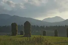 ...