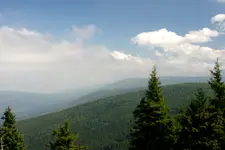 ....