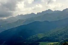 .....