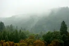 ....