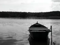 ....