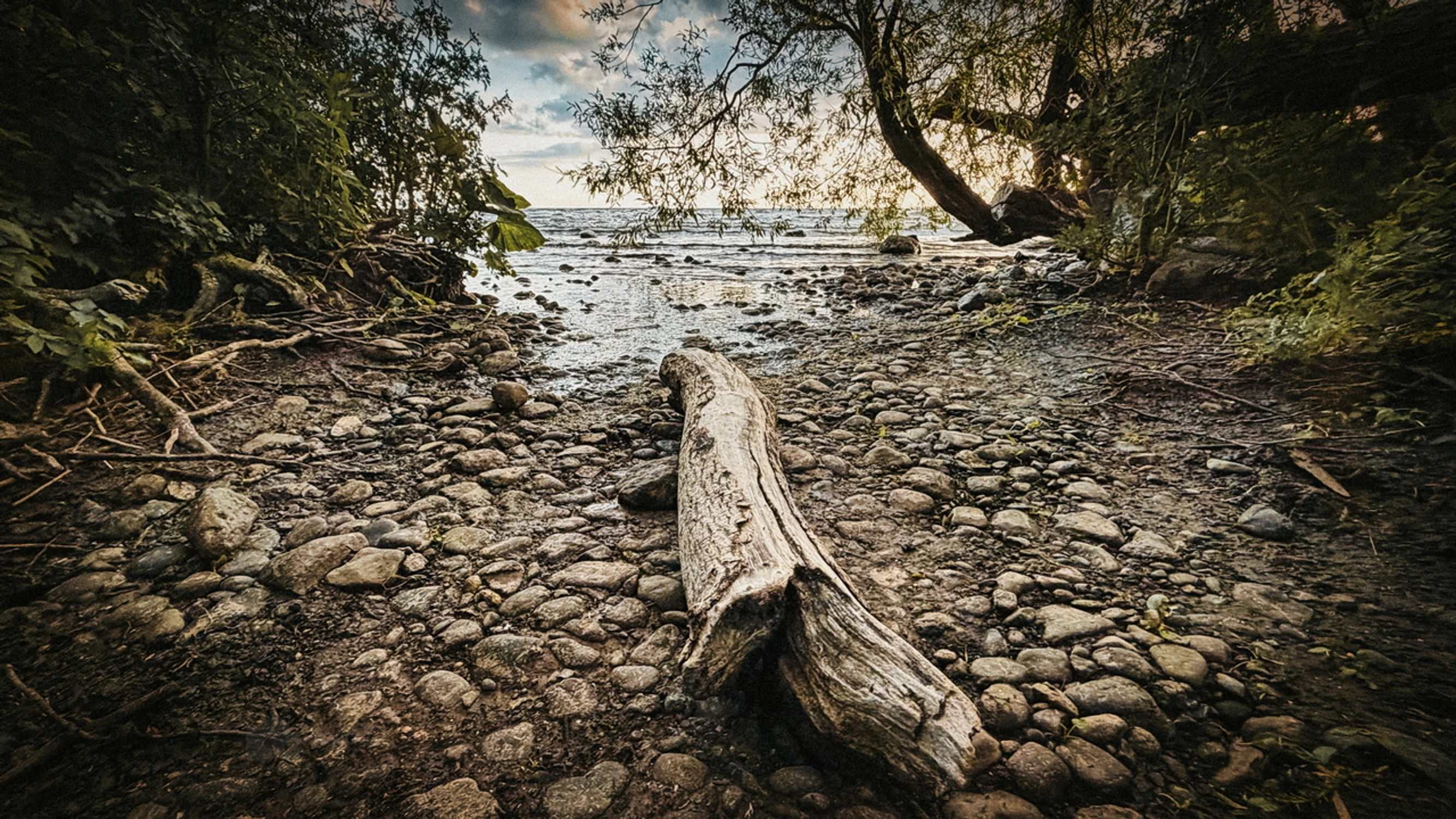 the dying of nature