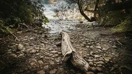 the dying of nature