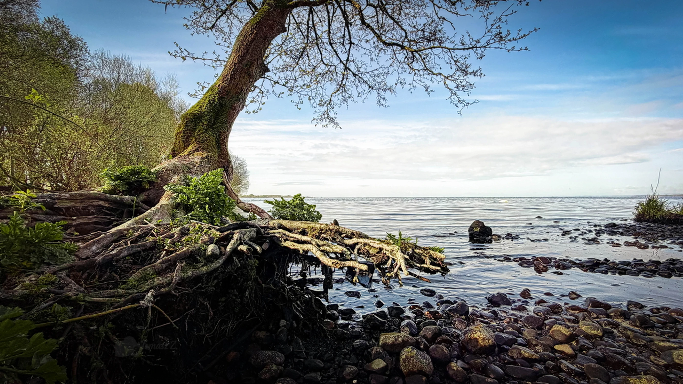 spring '26 - Lough Neagh - Northern Ireland