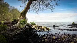 spring '26 - Lough Neagh - Northern Ireland