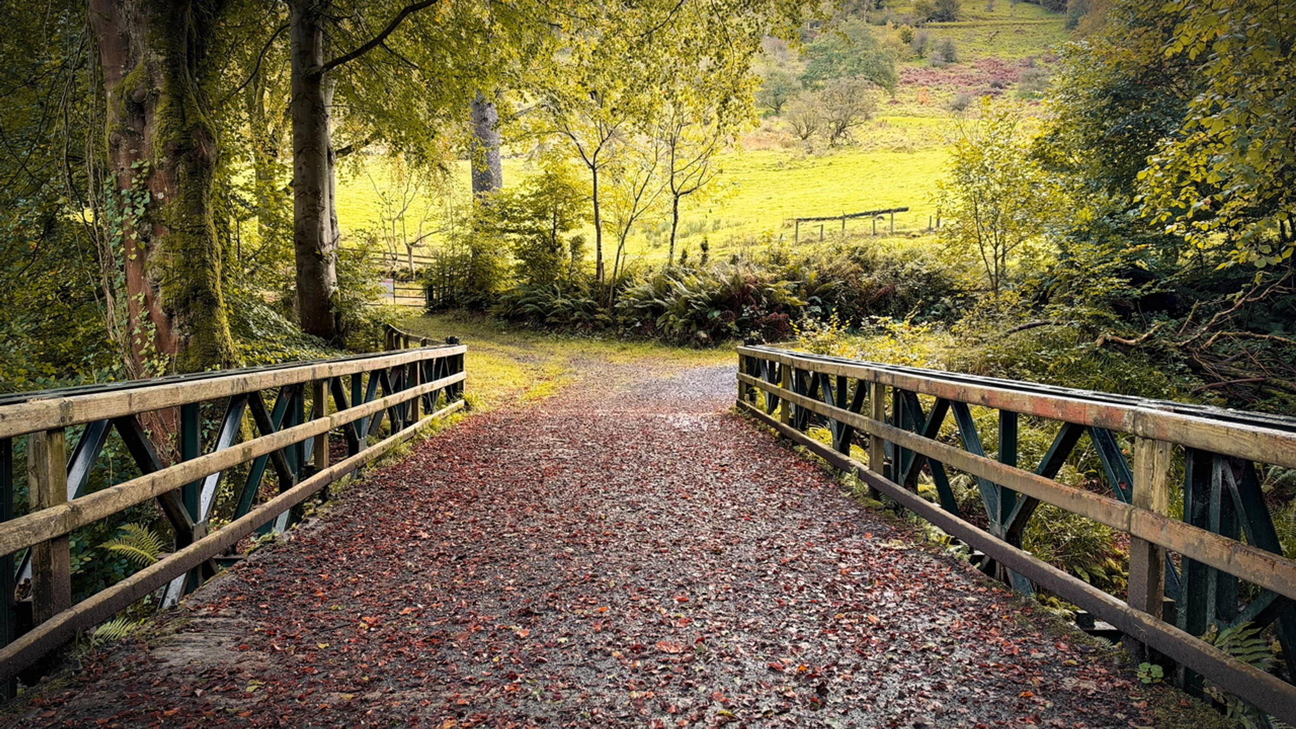 Irish autumn ' 26