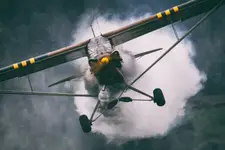 Piper