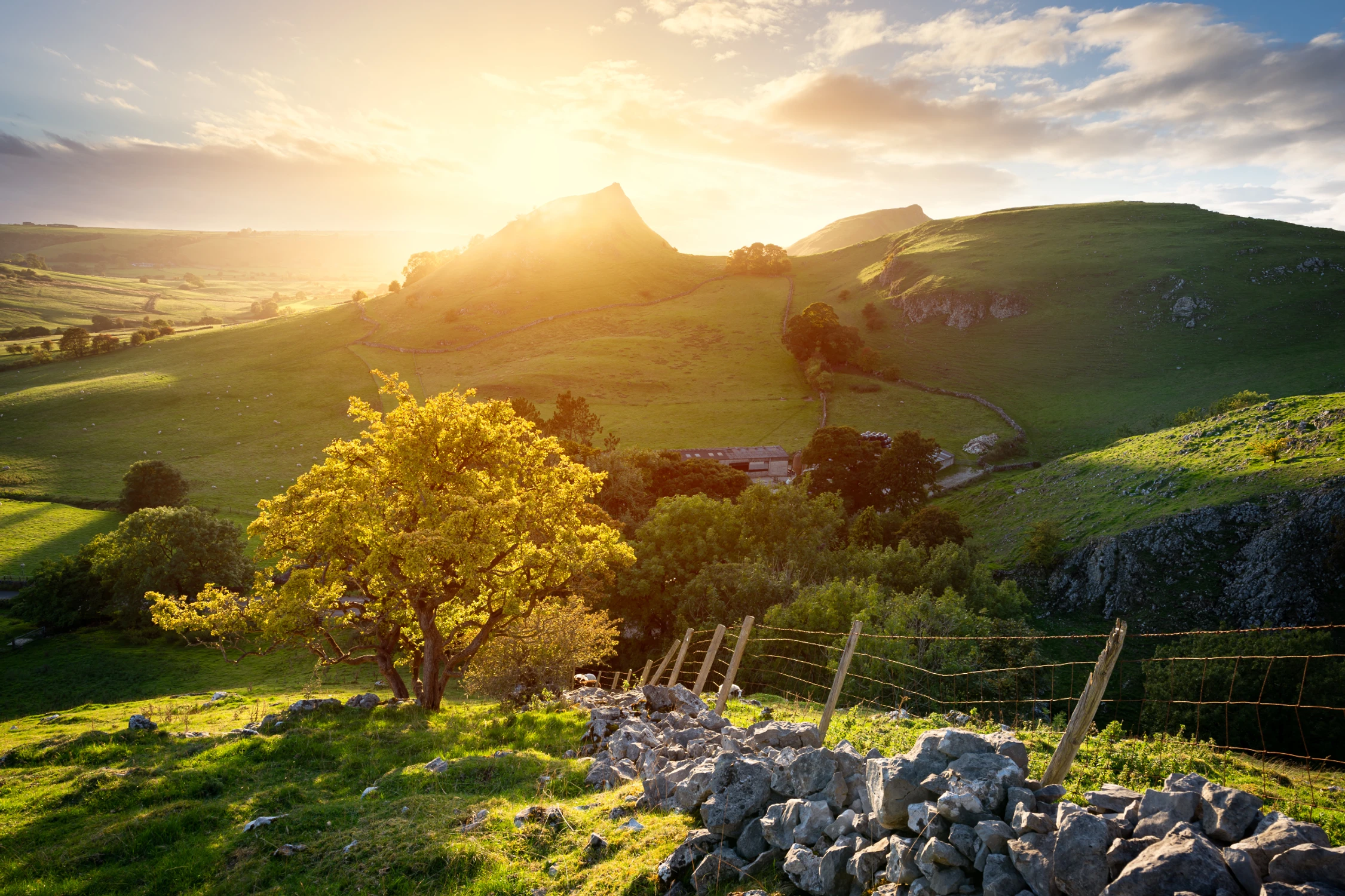 Chrome Hill