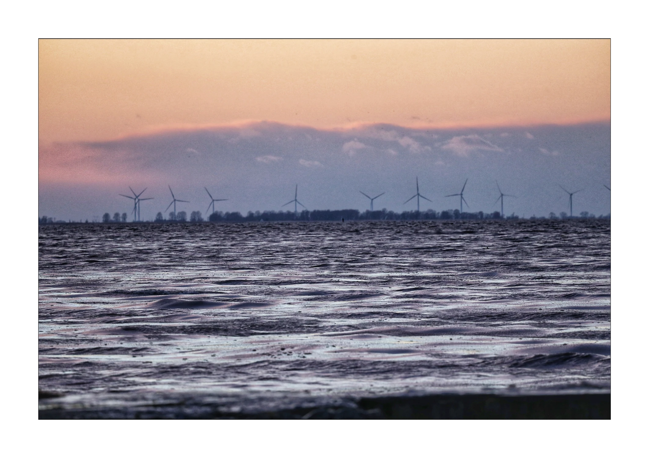 Mówią że ekologiczne h...