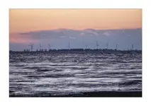 Mówią że ekologiczne h...