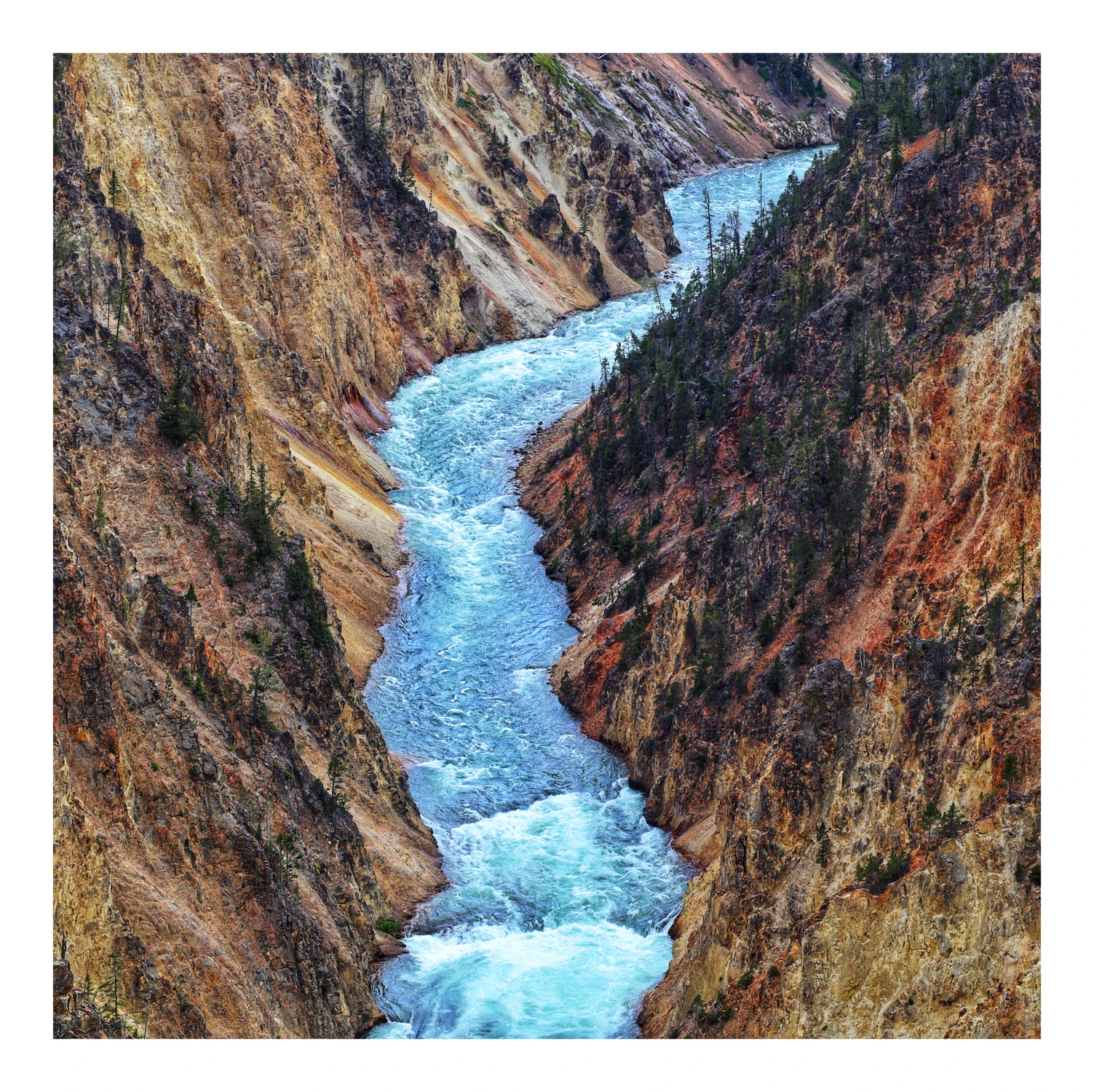Rzeka Yellowstone 