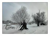 Lass Fatall  dziewięć