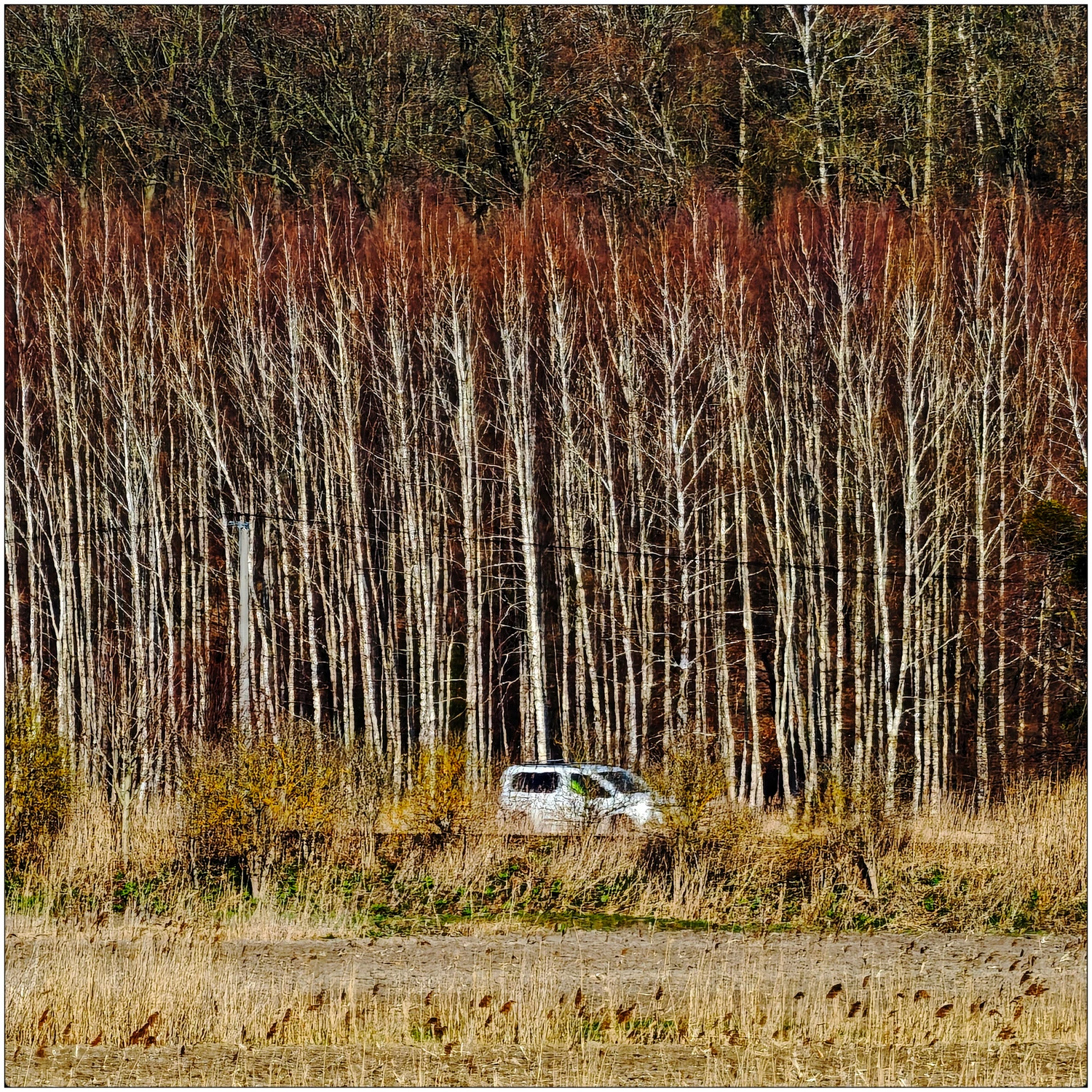 W drodze ...all_16392