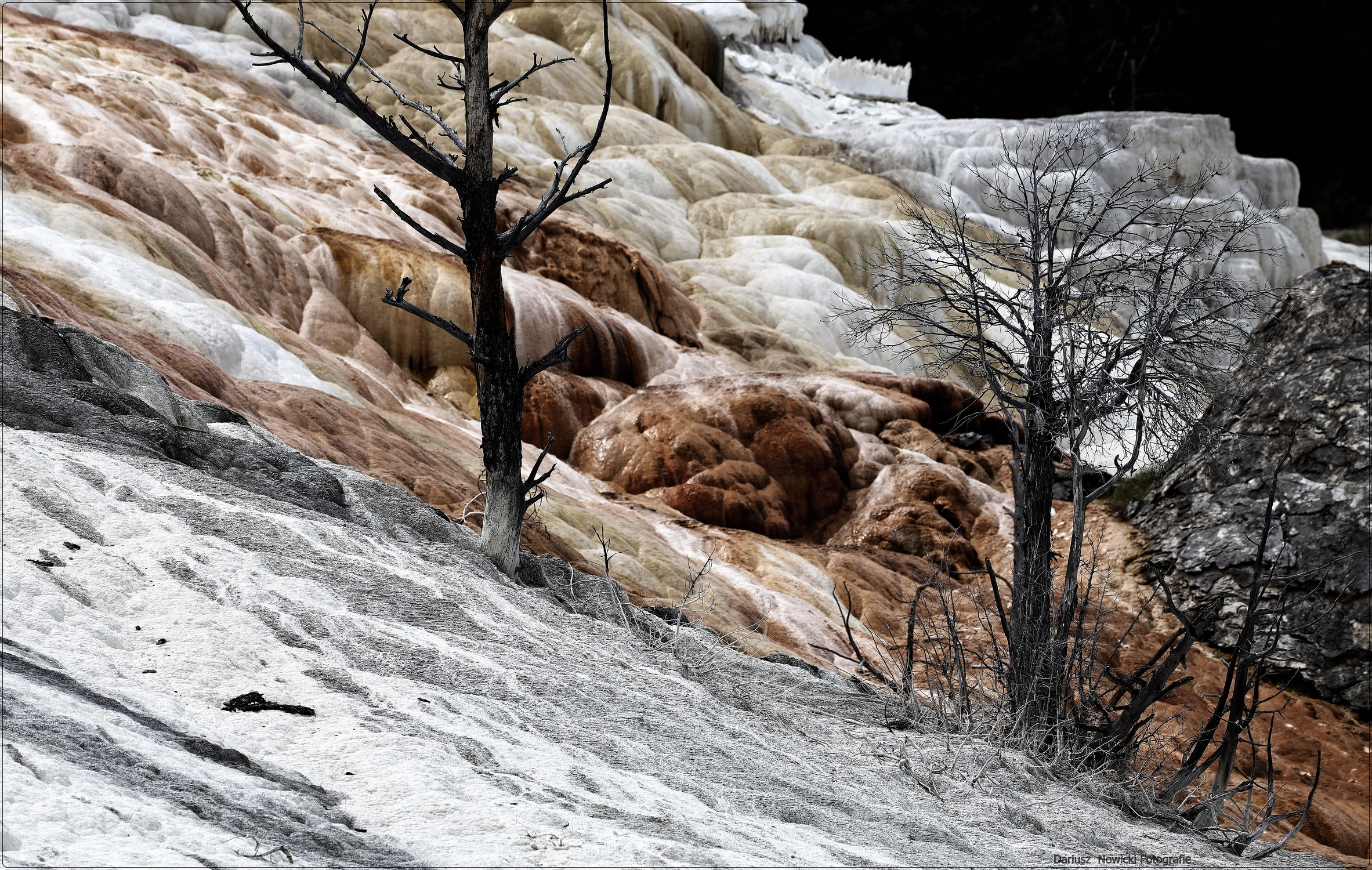 spacerkiem    -  dwa