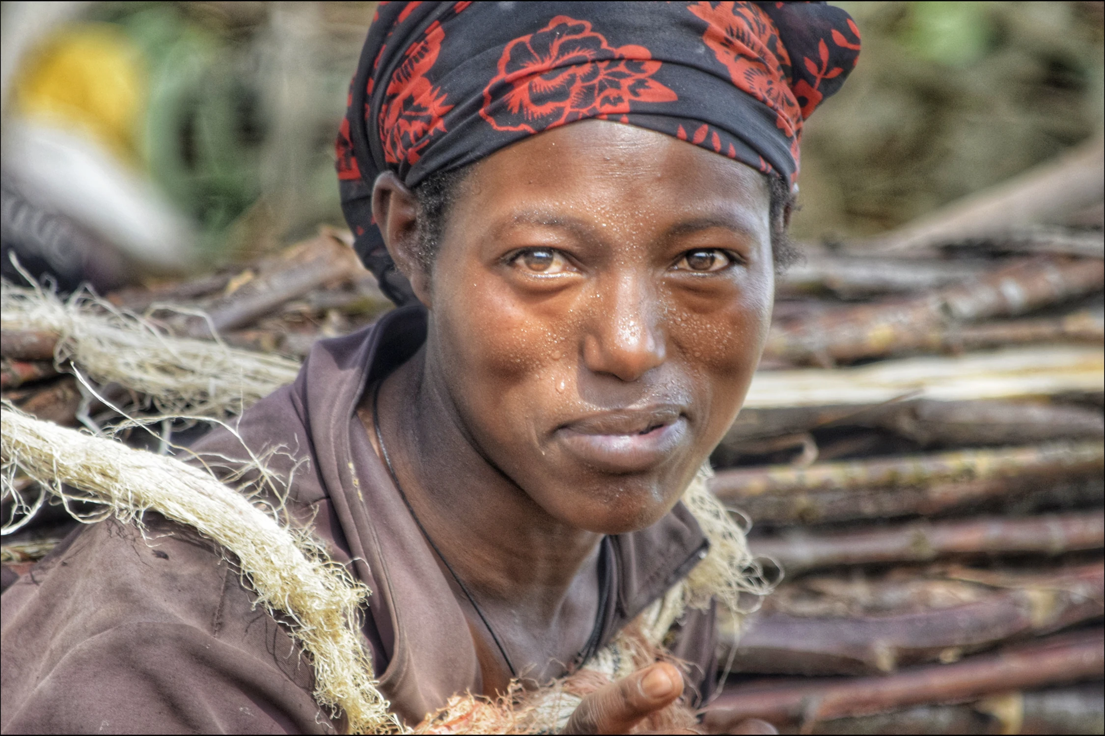 Niosąc chrust do domu
