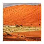 1750621205160.pustynne spacery