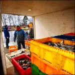 Punkt widzenia...portowe historie