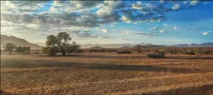 Poranek w sercu Afryki