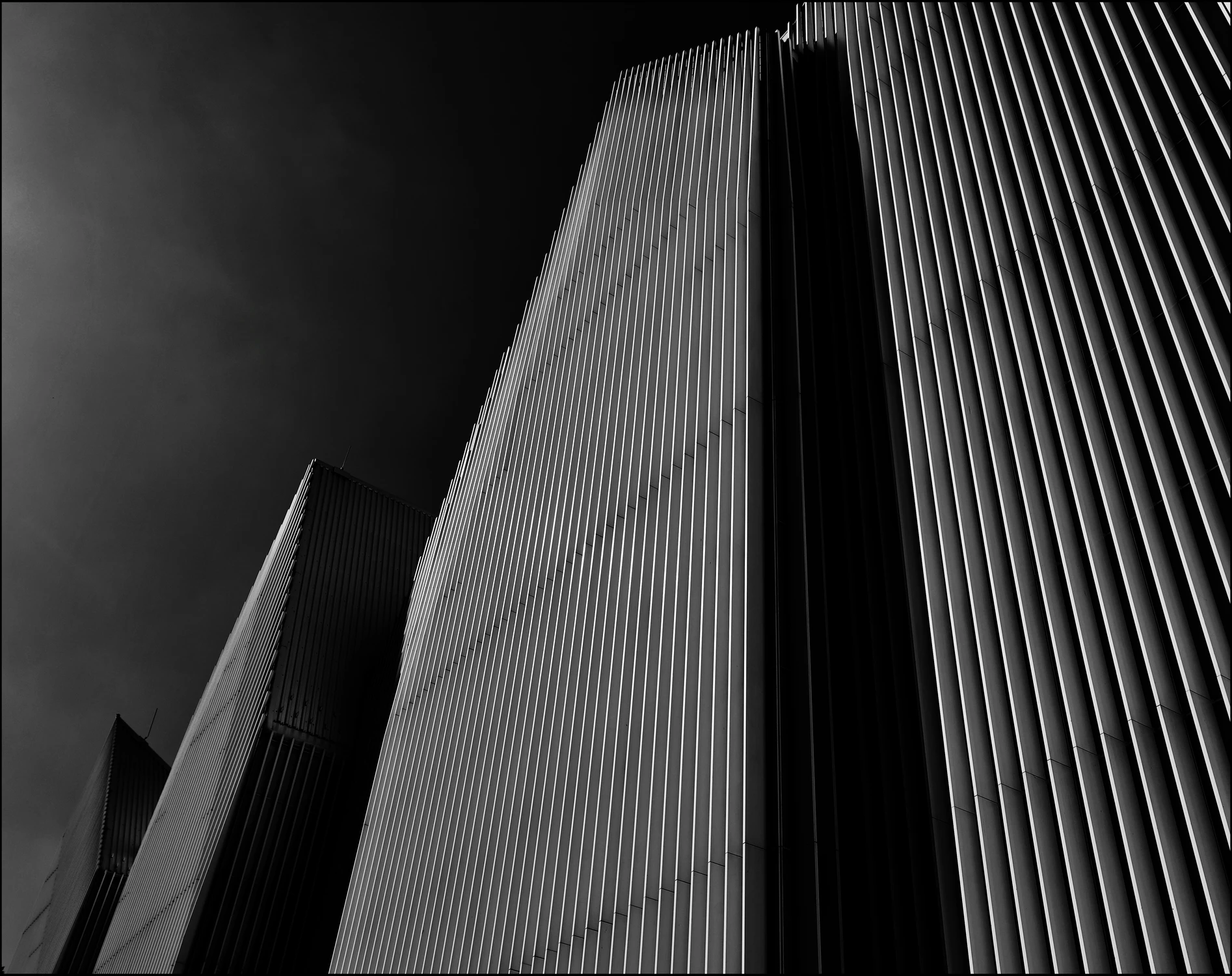 5D1A4215