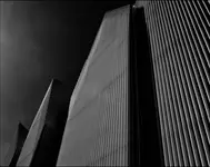 5D1A4215