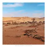 kwadrat z Deadvlei