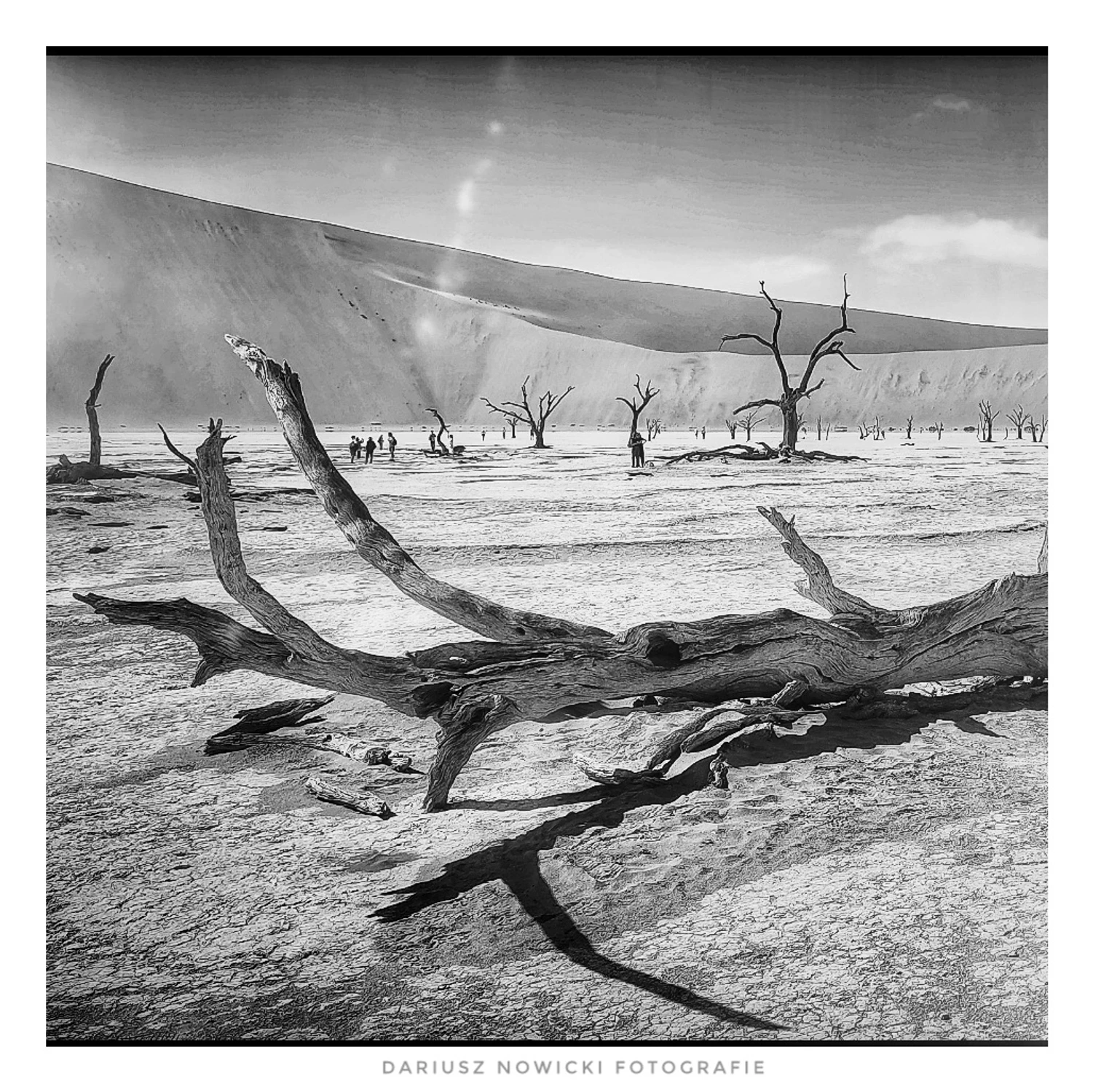 Deadvlei