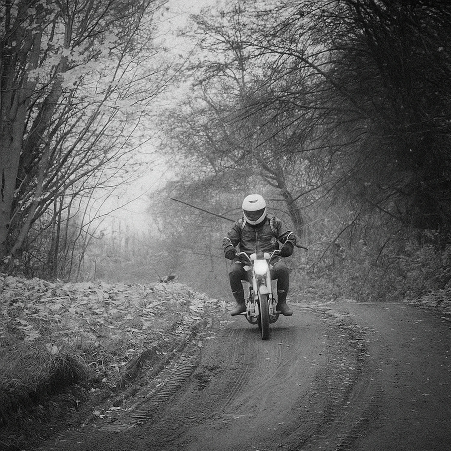 Ninja jedzie na ryby