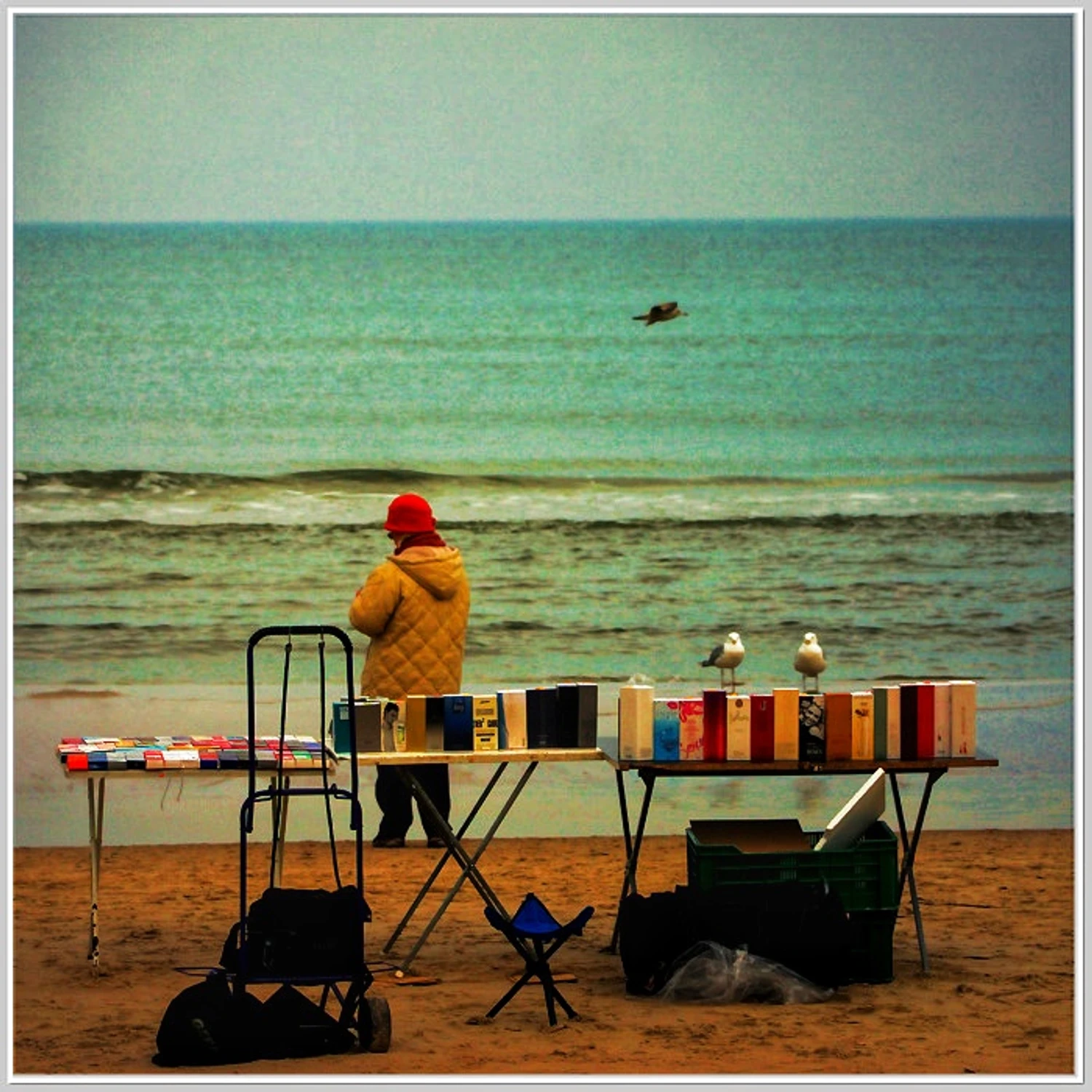 Bylem gdzies i trzasłem fotę a teraz wstawiam z tyułem gwiazdka