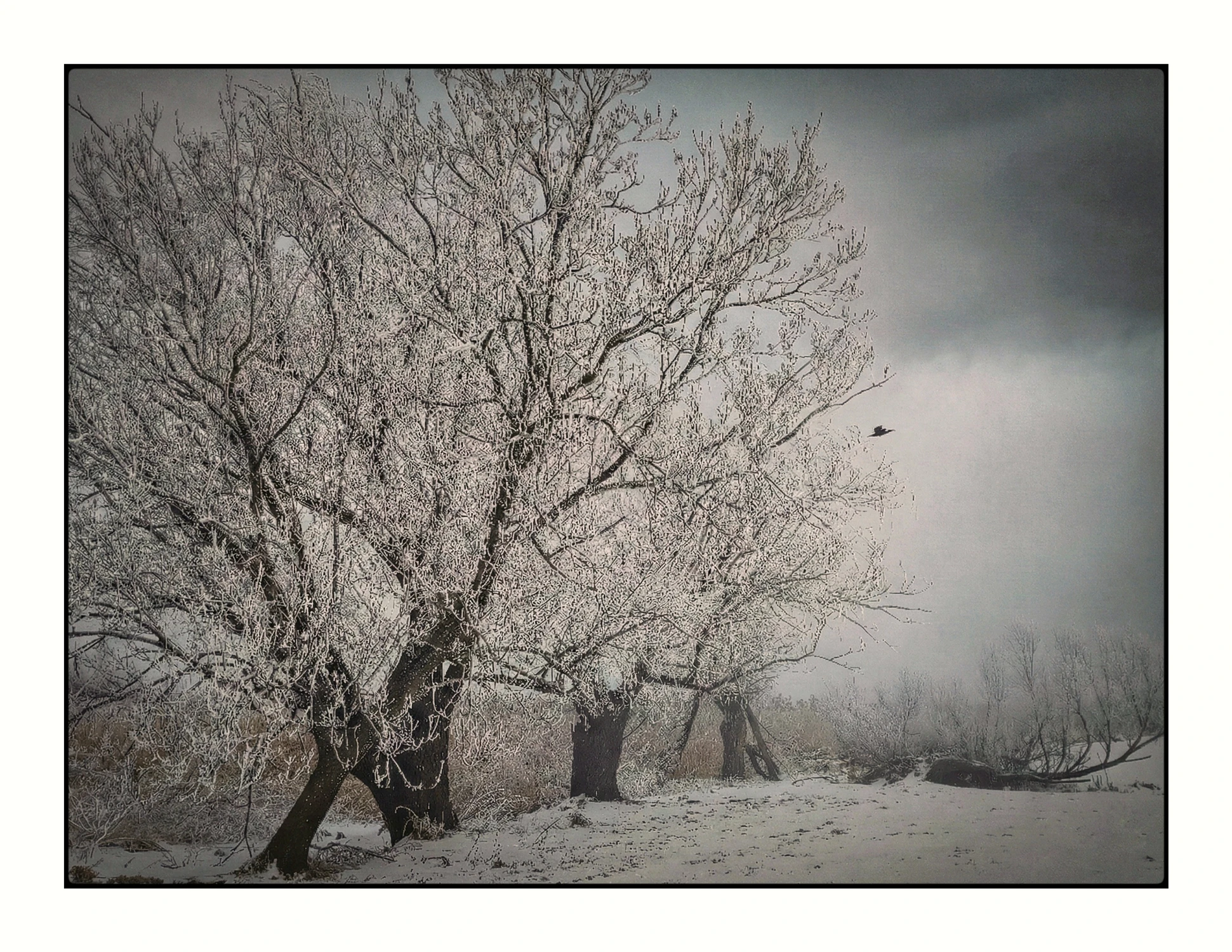 Spacerkiem w rezerwacie