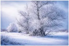 1000092964....nieopodal