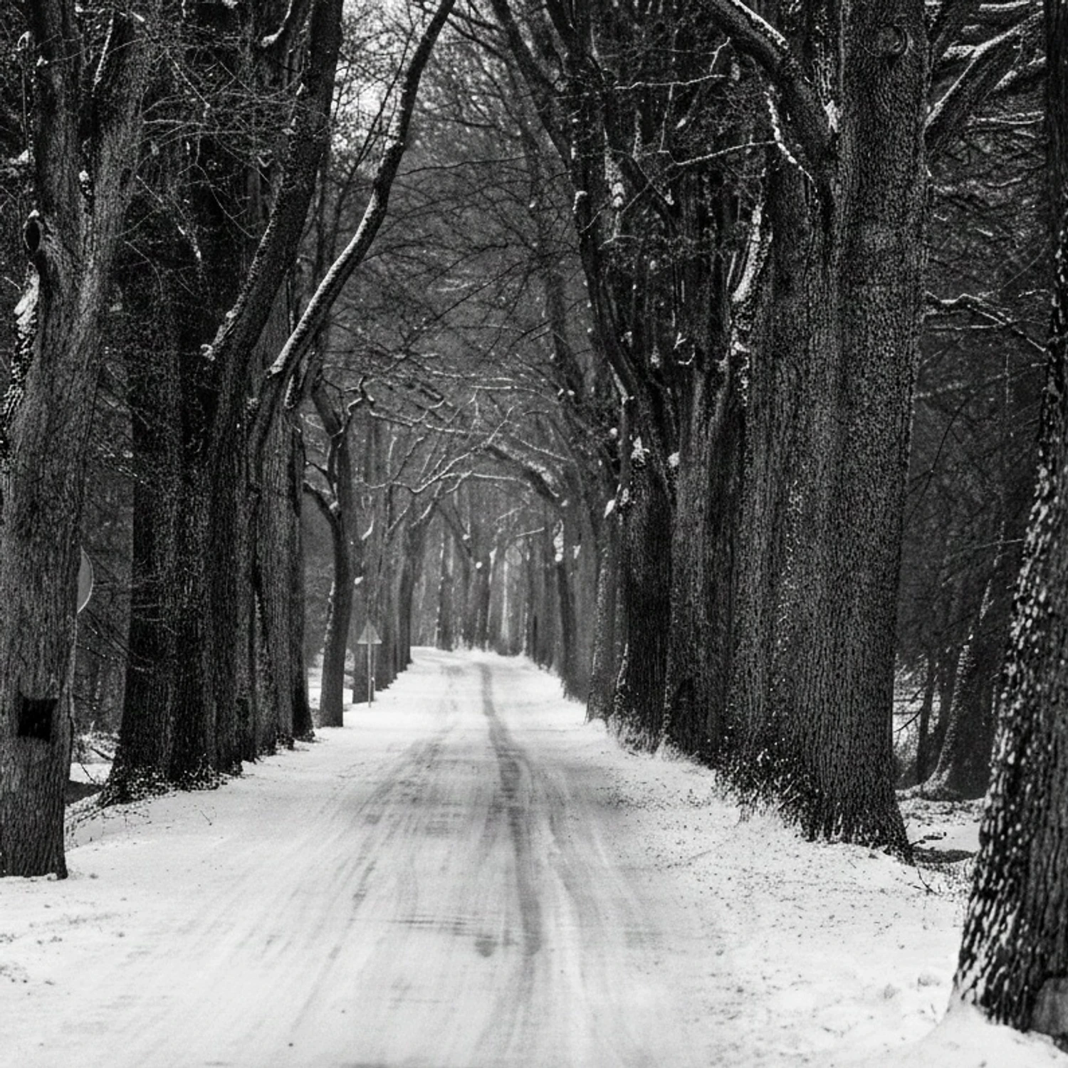 Droga  na Pomorską Wieś