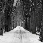 Droga  na Pomorską Wieś