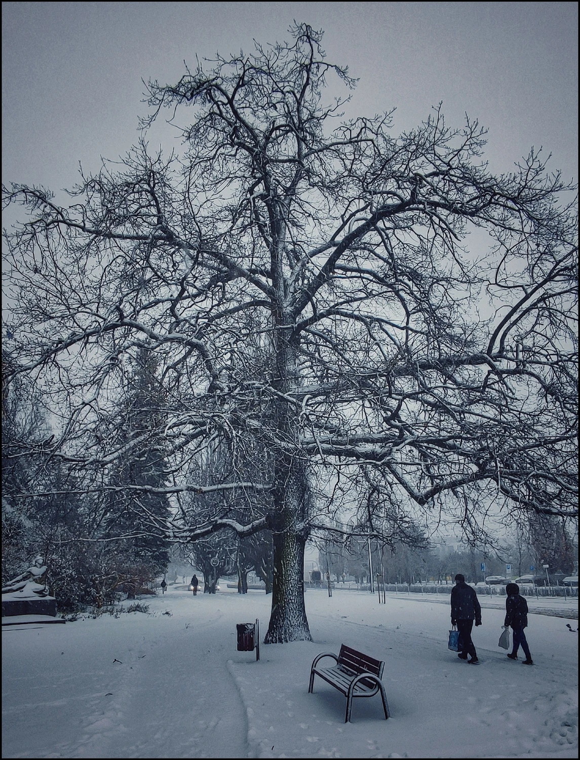 Tragedia.5 cm śniegu