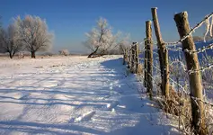 Zimowe obrazki z okolicy