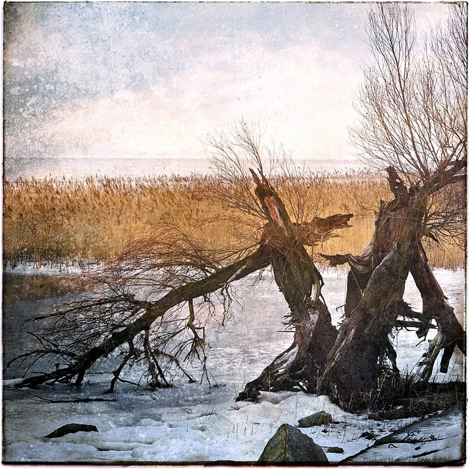 Tańcowały dwa Michały