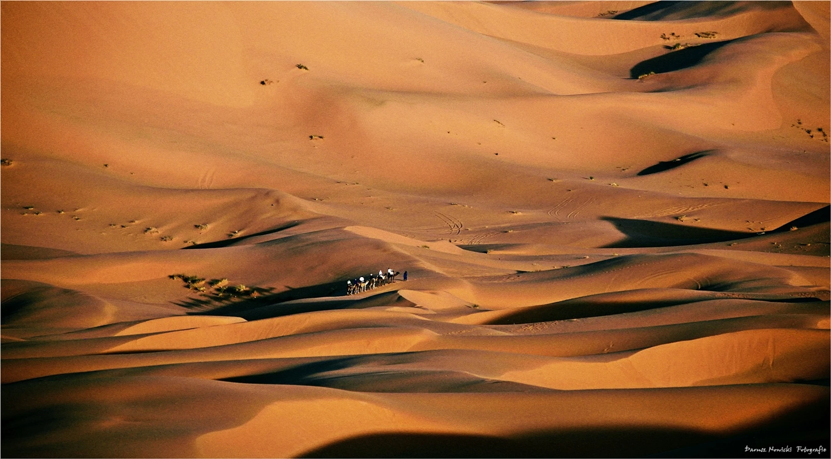  Spacerkiem po Saharze