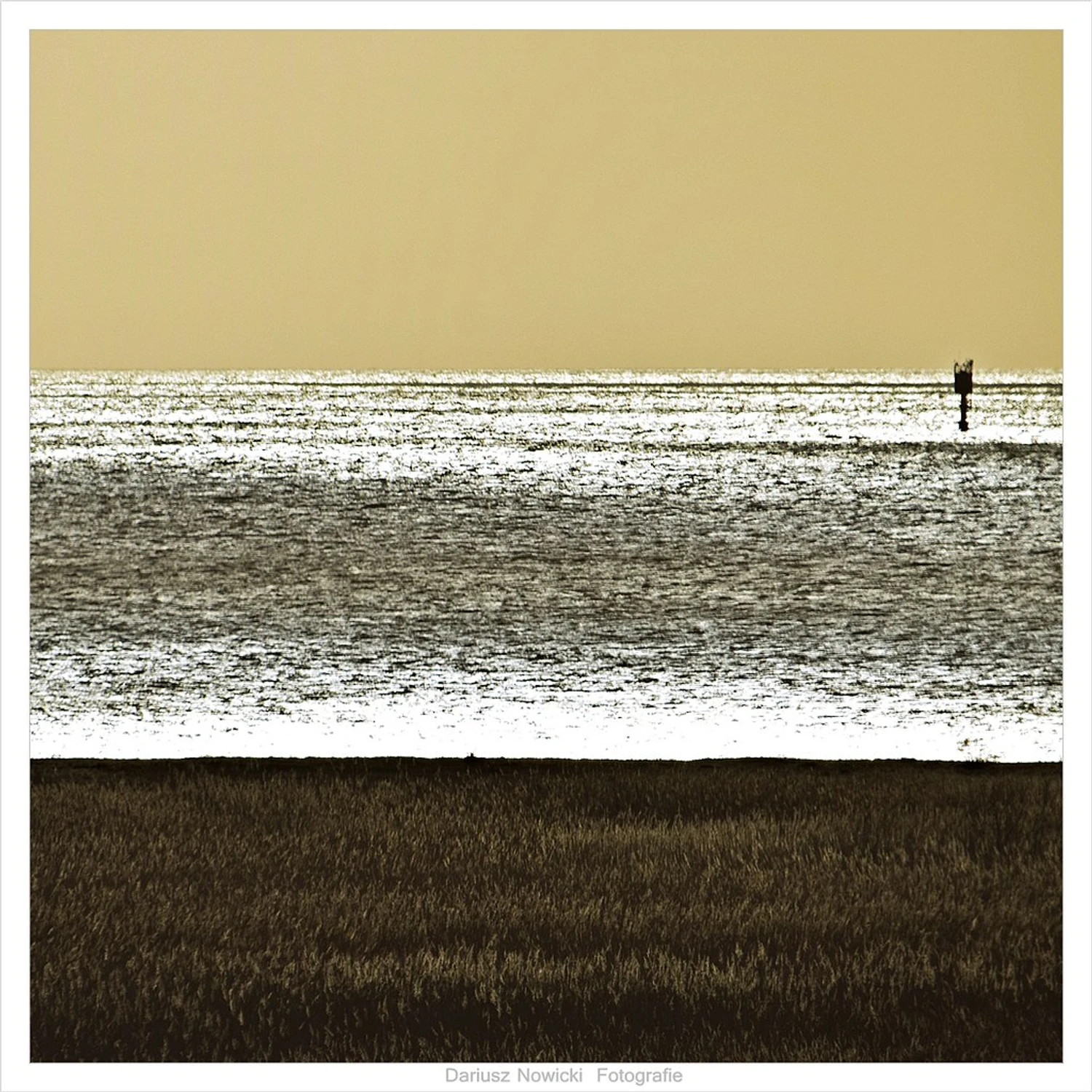 Mechelińskie Łąki