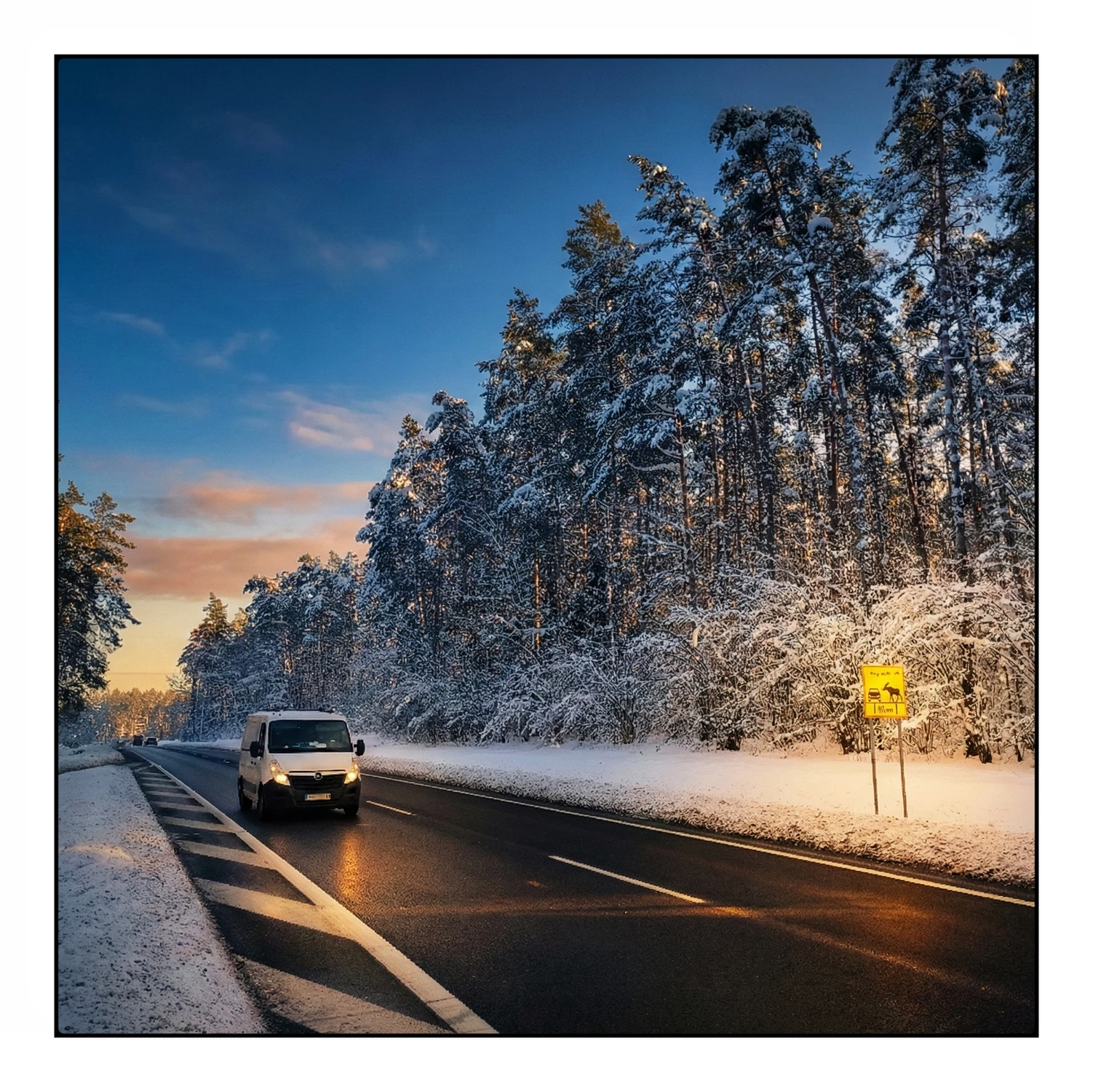 1000093218- uwaga na łosie