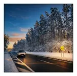 1000093218- uwaga na łosie